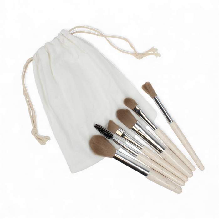 SET DE BROCHAS (LY0426)