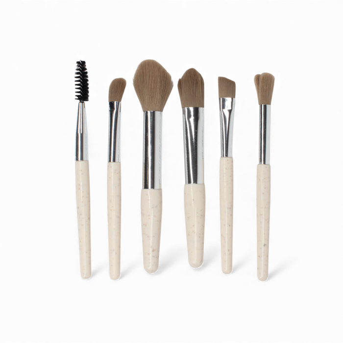 SET DE BROCHAS (LY0426)