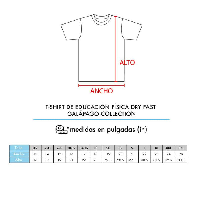 YORK INT SCHOOL T-SHIRT DRY FAST DE EDUCACION FISICA - t-shirts-interamerica-s-a
